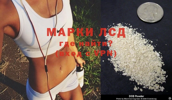 ПСИЛОЦИБИНОВЫЕ ГРИБЫ Няндома