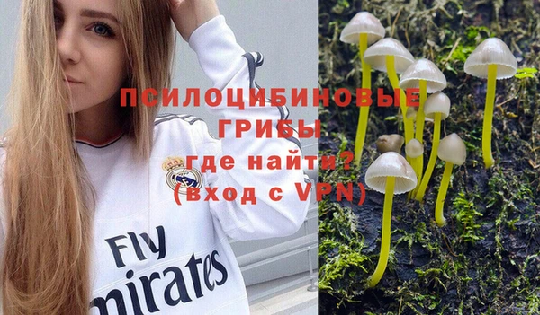 крисы Нязепетровск