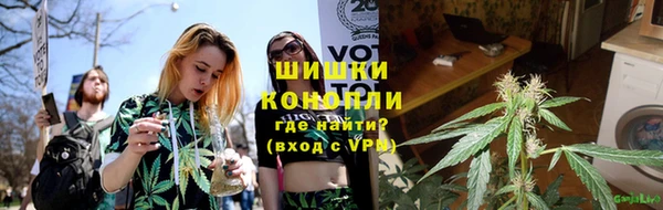 ПСИЛОЦИБИНОВЫЕ ГРИБЫ Няндома