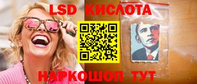 амф Гатчина