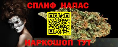амф Гатчина