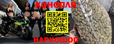 крисы Гагарин