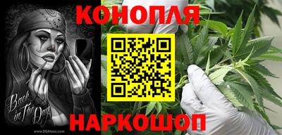 крисы Гагарин