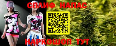 крисы Гагарин