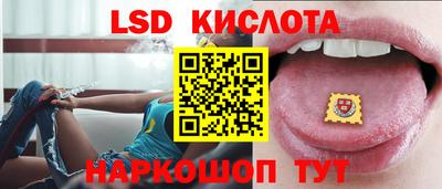 крисы Гагарин