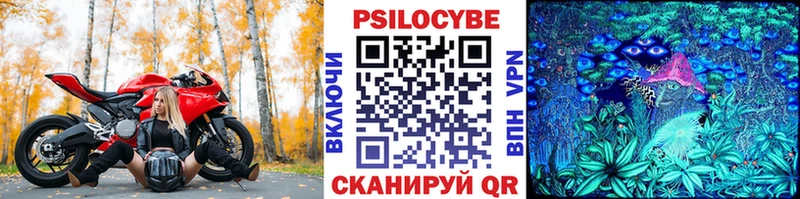 Псилоцибиновые грибы MAGIC MUSHROOMS  даркнет какой сайт  Алексин  хочу  