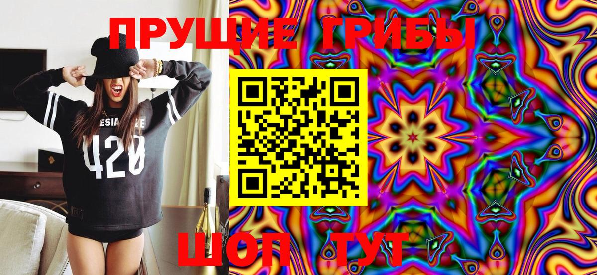 Псилоцибиновые грибы GOLDEN TEACHER  Галлюциногенные грибы Cubensis  Алексин 