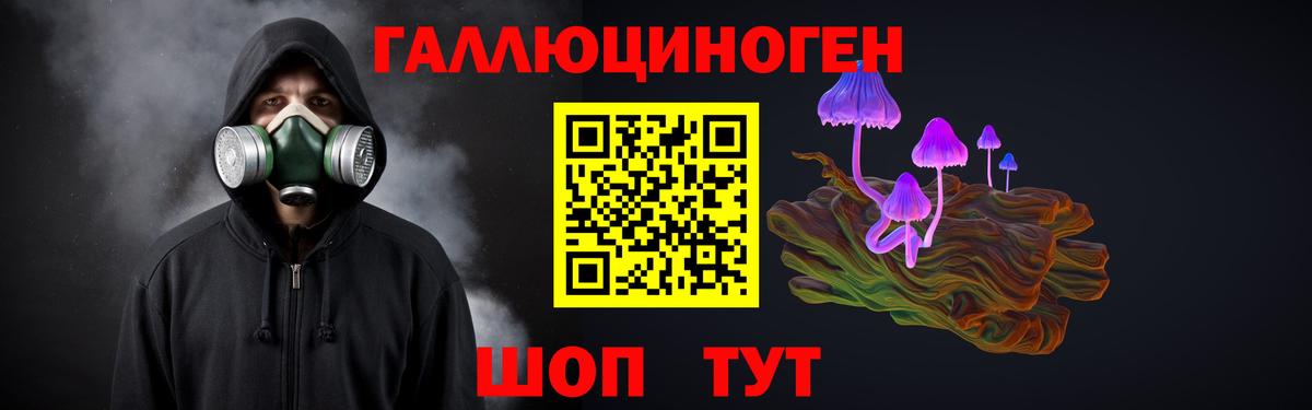 Галлюциногенные грибы Psilocybine cubensis  Вход с VPN  Алексин 